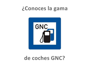 coches gas natural comprimido gnc