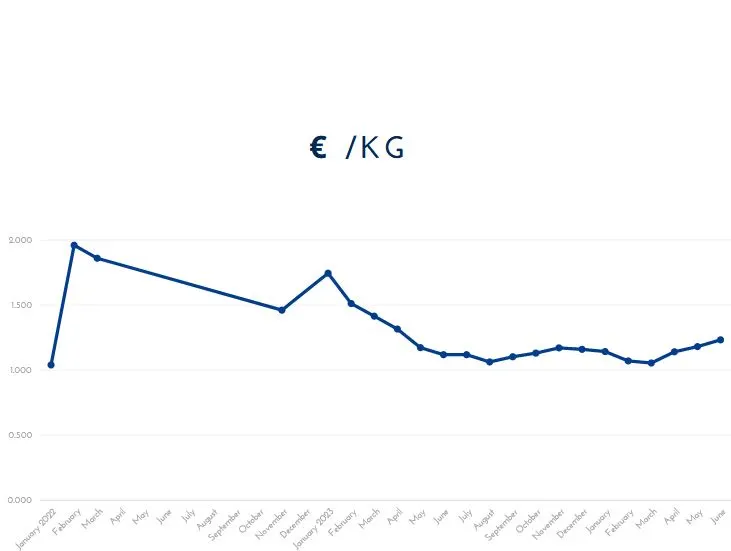 precio-gnc-espana-2024