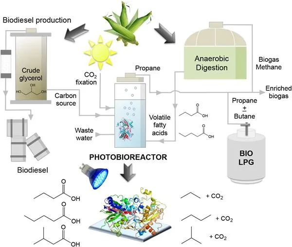 wat-is-bio-lpg